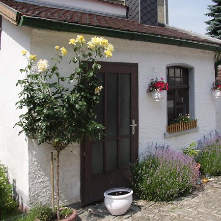 3 Seiten Ferienwohnung Jena Exterior photo