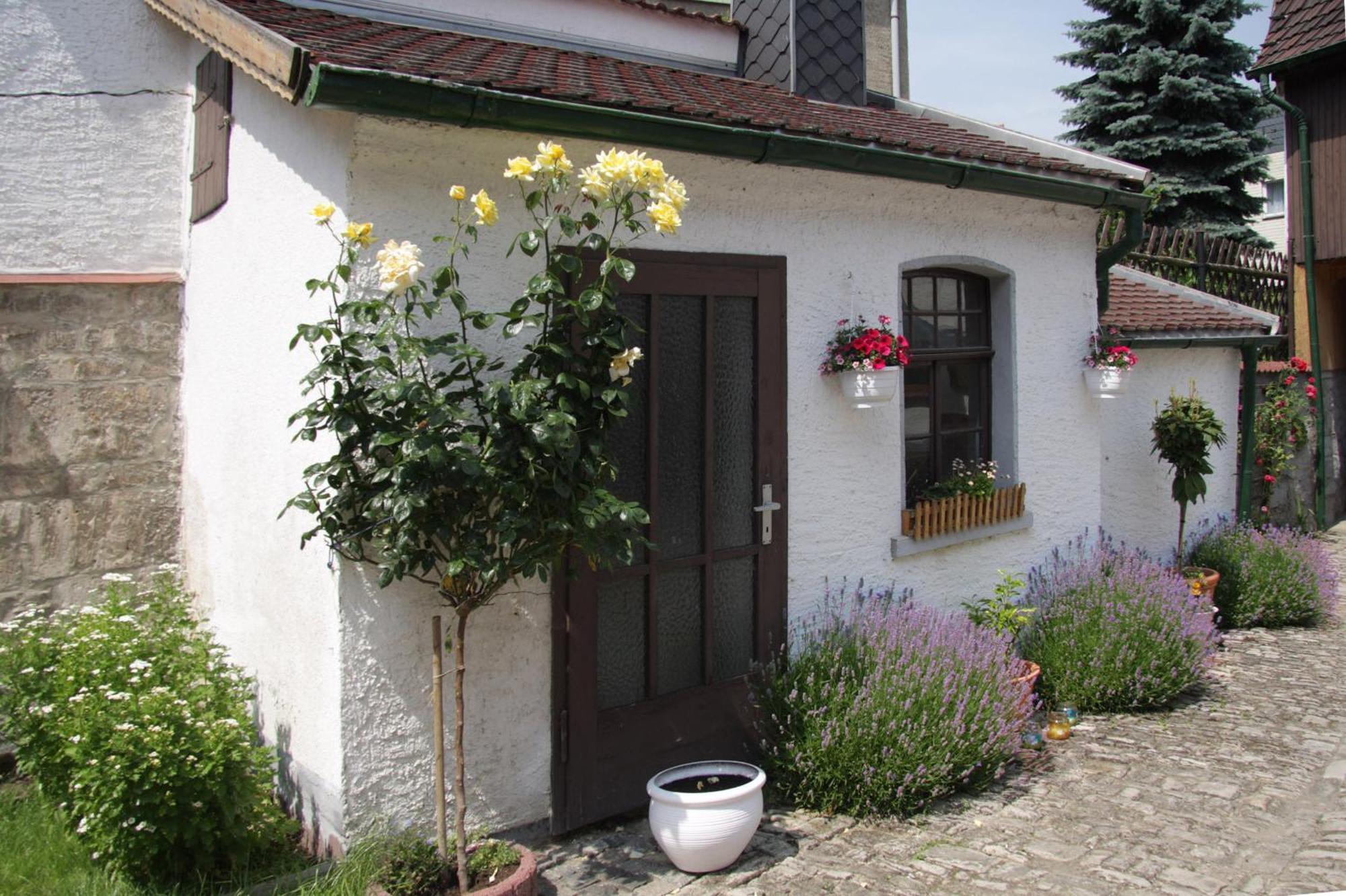 3 Seiten Ferienwohnung Jena Exterior photo